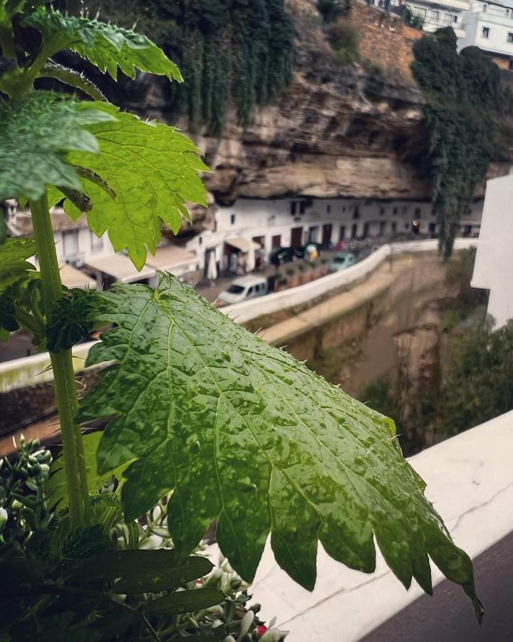 Casa Bajo La Roca Villa Setenil De Las Bodegas Eksteriør bilde